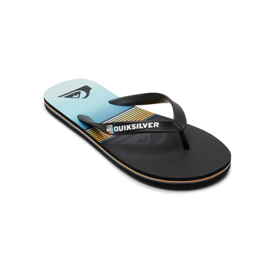Quiksilver Molokai Panel - Flip-Flops for Men
